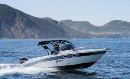 miniatura di Saver 750 wa cabin