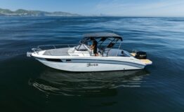 miniatura di Saver 750 walkaround cabin